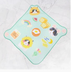 Qu'est-ce que la serviette magique ?